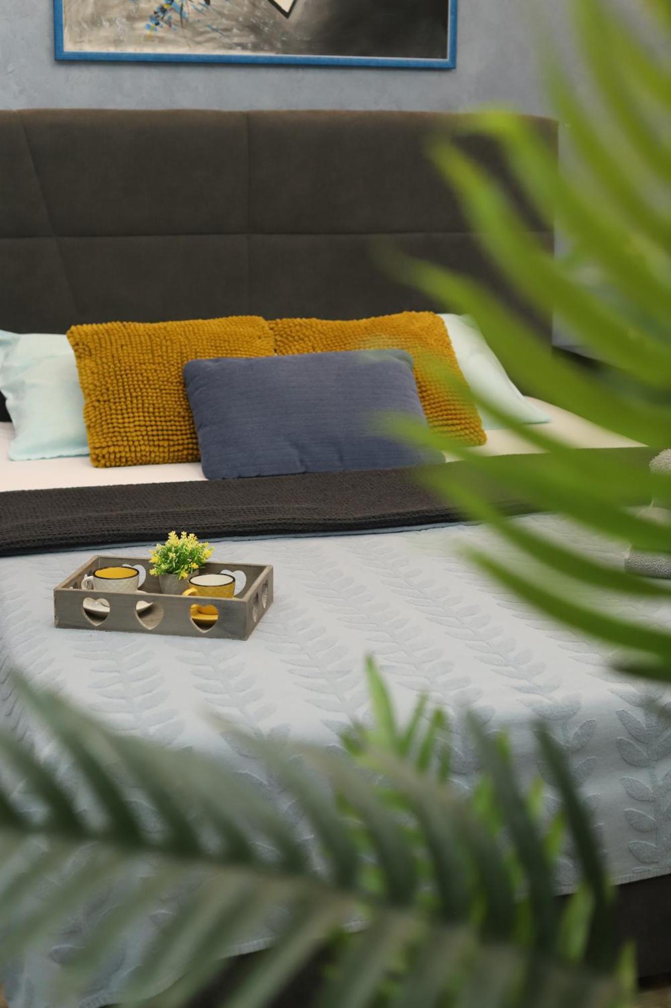 Vanimi Lux Apartmani Kikinda Luaran gambar